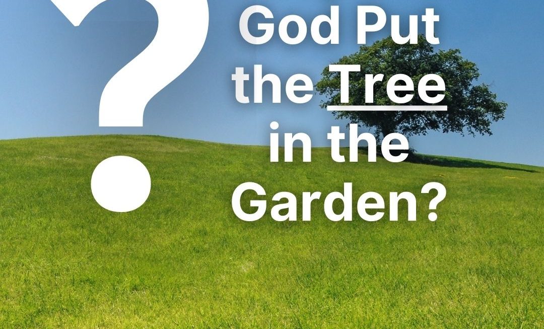 Why Put the Tree in the Garden?