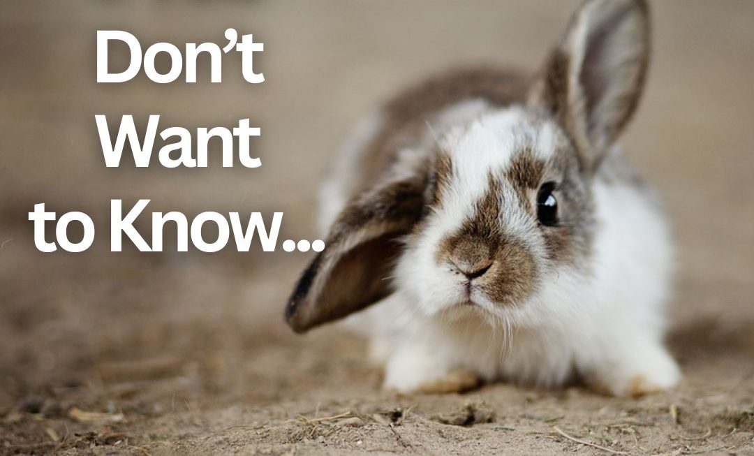Well, If You Don’t Want to Know…