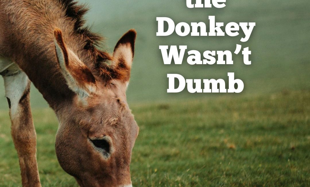 At Least His Donkey Wasn’t Dumb