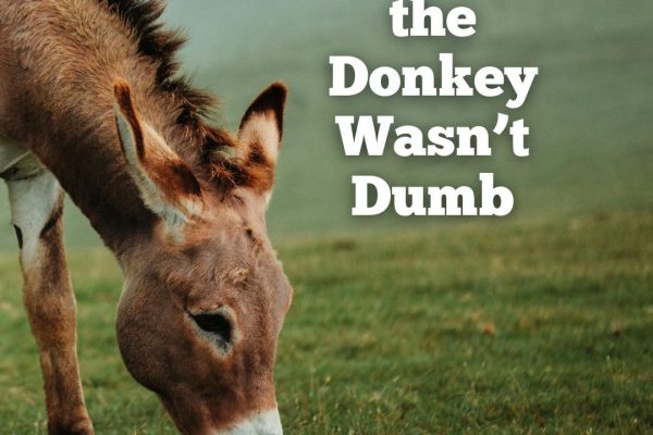 At Least His Donkey Wasn’t Dumb