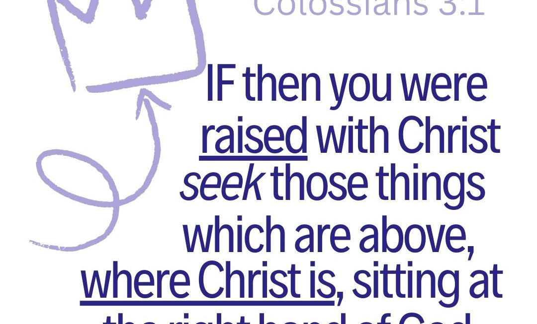 Seek, Set, Sever, and Serve