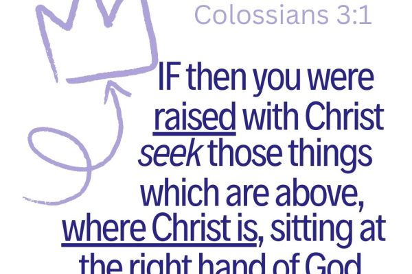 Seek, Set, Sever, and Serve