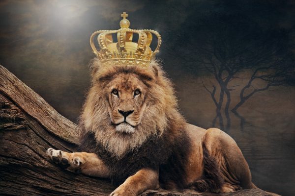 The Lion With a Crown